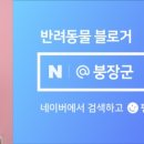 아이원 동물병원 이미지