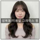에스스타일리스트 | 성복동 미용실인생 머리, 리안헤어 성복느티나무점 이서 스타일리스트님께 받은 그레이스펌 후기