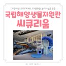 서천 씨큐리움 고래고래 예약 정보 및 관람후기 국립해양생물자원관 상세후기
