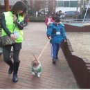 망원무지개지역아동센터 이미지