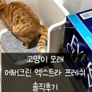 이크린세탁 | 고양이 모래 추천 에버크린 엑스트라 프레쉬 솔직후기