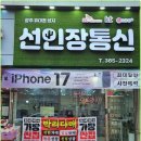 고려선인장
