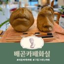 카페화실 - 강화군 해안남로 118-24 | 시흥 이색카페 카페화실 방문후기
