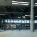 파파누리 이미지