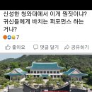 청와대 개방 1주년 기념 행사에 전시안(일루미나티 상징) 이미지