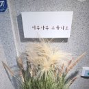 미루 | 전직승무원 픽 강남승무원사진 미루나무 스튜디오 후기 | 승무원사진 잘 찍는 곳