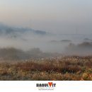 The Heaven 이미지