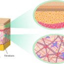 이룬의원 이미지