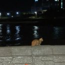 바바펜션민박 이미지