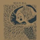 보림콜렉션