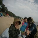 삼치기 Daum카페
