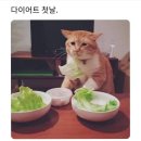 ........................................ 이미지