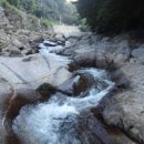 숲속계곡 이미지