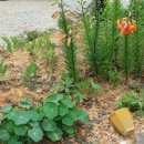 노루마당 이미지