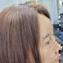 머리붙이바
