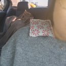 믿음약품 | 올겨울 든든한 동반자, 부광약품 흔드는핫팩 솔직 후기!