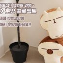 빵냥빵냥