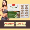뉴질랜드 파이오라 시서스 추출물 1000mg 씨서스 농축 분말 츄어블 90정