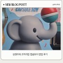 코끼리밥 | 삼정타워10층 코끼리밥 캡슐토이 팝업 후기