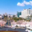 강원특별자치도립대학교 이미지