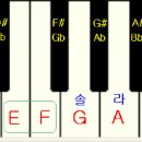 음악 기초이론 이미지