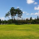 수성패밀리파크 Daum카페