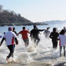 거제도국제펭귄수영축제 | 거제도 국제펭귄 수영축제 거제 덕포해수욕장 체험