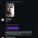 [월말결산] 26년 5월 ²