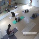 스트레스를 받으면 어깨가 올라갈까? 만성 어깨 통증과 몸의 긴장 - 일산 주엽동 자세교정 요가 아무브요가