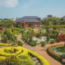 제주허브동산 이미지