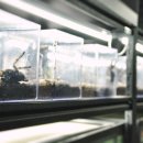 간양농장 이미지