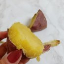 철이농산물 | 달콤한 [제철이네 농산물] 해남꿀고구마