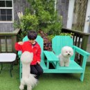 도담도담애견펜션 이미지