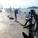 영화의거리 이미지