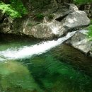 천리향 펜션 이미지