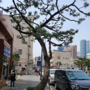 중1동 행정복지센터 이미지