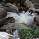 벽송산장