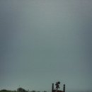 첼로걸