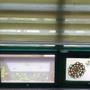 알프스유치원 이미지