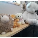 도화선한국화학원 이미지