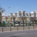 금계초교병설 이미지