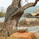 오미마을 이미지