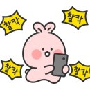 당나귀풍천장어 이미지