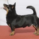 범용농장 이미지