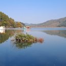 소금랜드 이미지