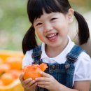 아이스홍시 청도영농조합
