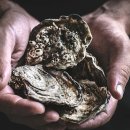 판암어린이집 이미지