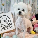 딩딩이발소 이미지