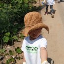 월계(회관)마을회관 이미지