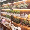 너와나 | 대구 동성로 꽃집 너와나의봄 후기